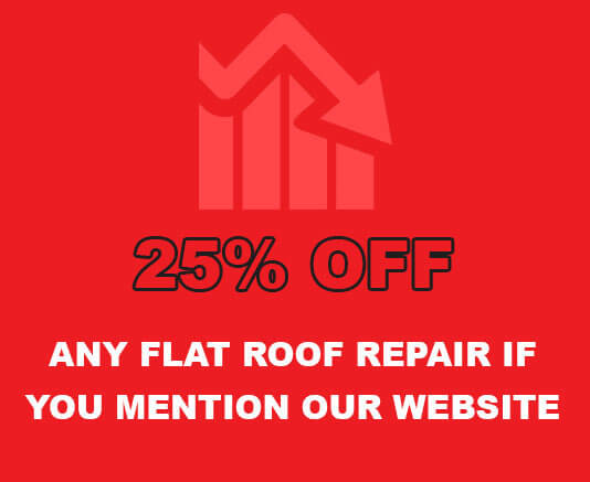 25 % OFF Any Roof Repair